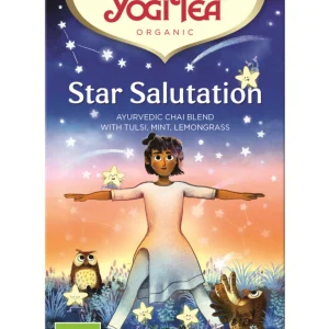 YogiTea - Star Salutation